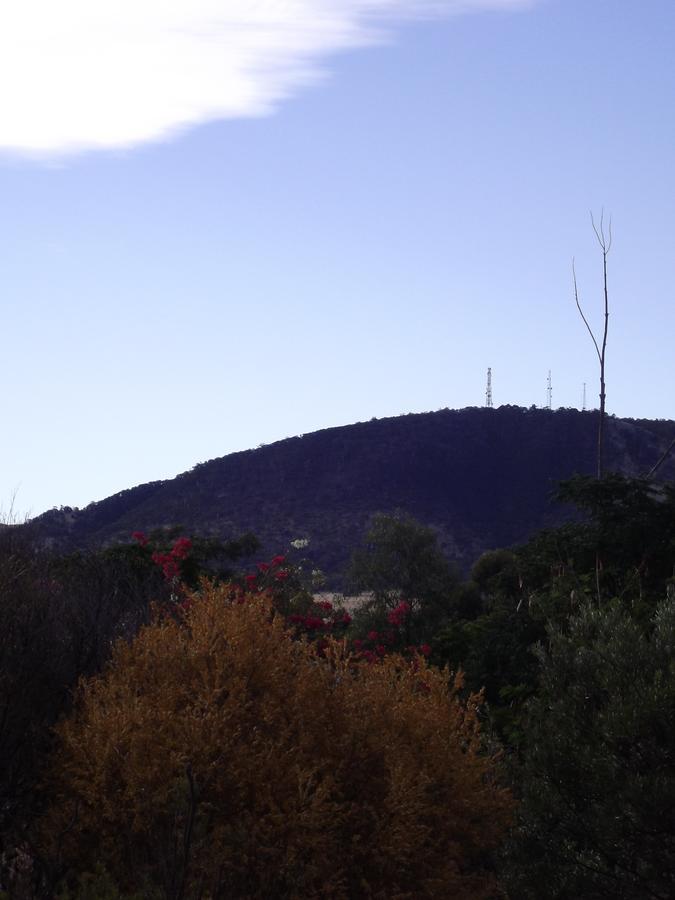York'S Lookout Lodge Bed And Breakfast Bagian luar foto